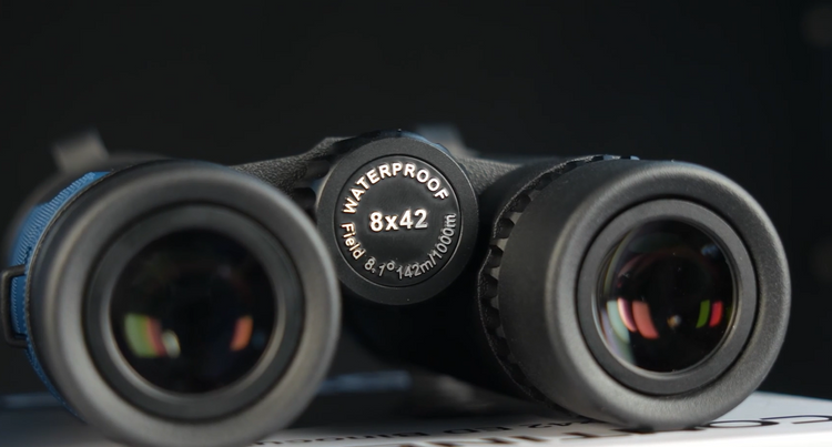 How to Pick Binoculars: A Simple Guide to Magnification, Size & More