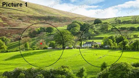 Red Dot vs Green Dot Sights: Which One Should You Choose?