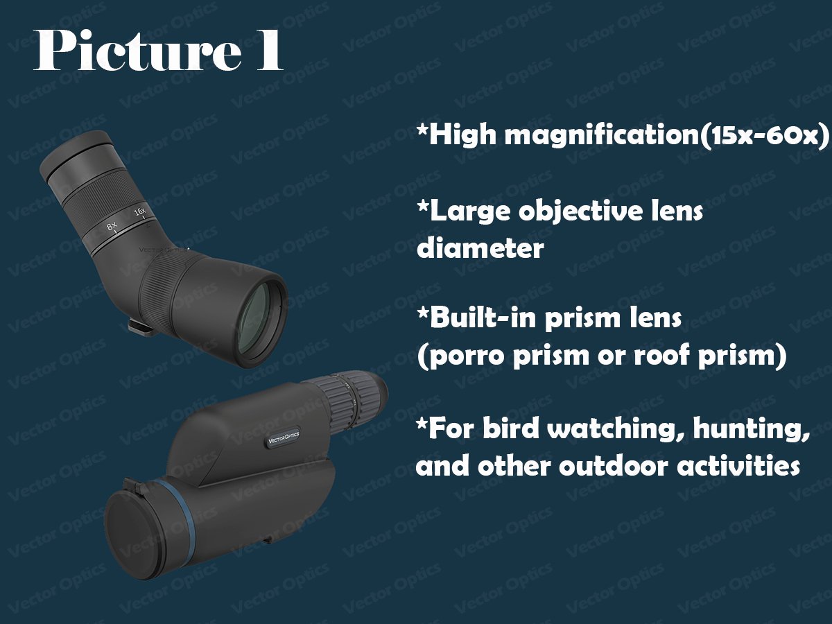 Angled vs Straight Spotting Scope, How to Choose? - Vector Optics US Online Store