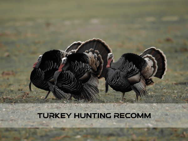 Turkey Hunting Scopes Create Long-last Thanksgiving Memories - Vector Optics US Online Store