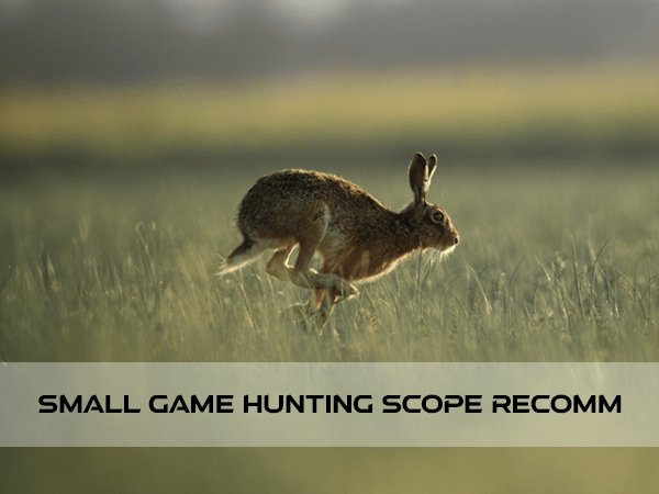 Scopes Recommendation for Small Game Hunting - Vector Optics US Online Store