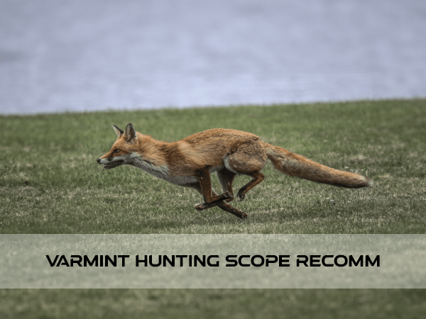 Scopes Recommendation for Varmint Hunting - Vector Optics US Online Store