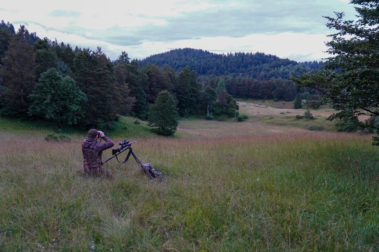 How to Pick a Scope for Plain Game Hunting? - Vector Optics US Online Store