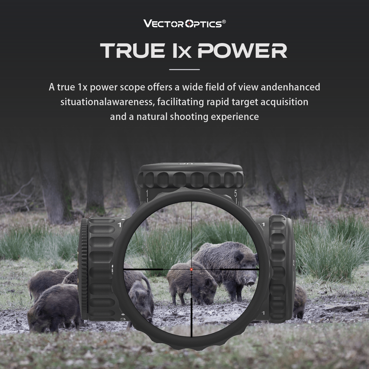 Continental x8 1-8x24i TRUE 1x POWER