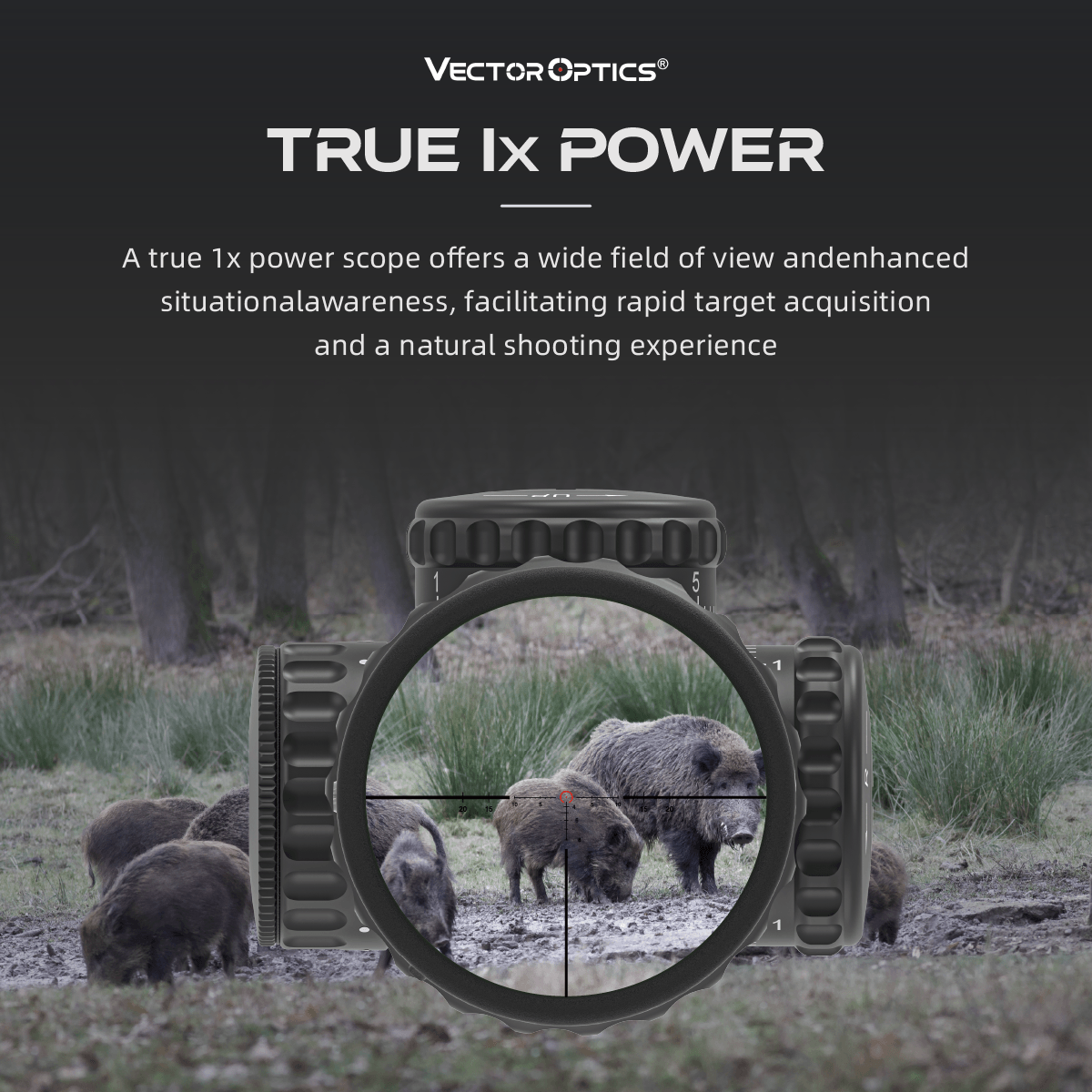 Continental 1-6x24 HD SFP TRUE 1x POWER