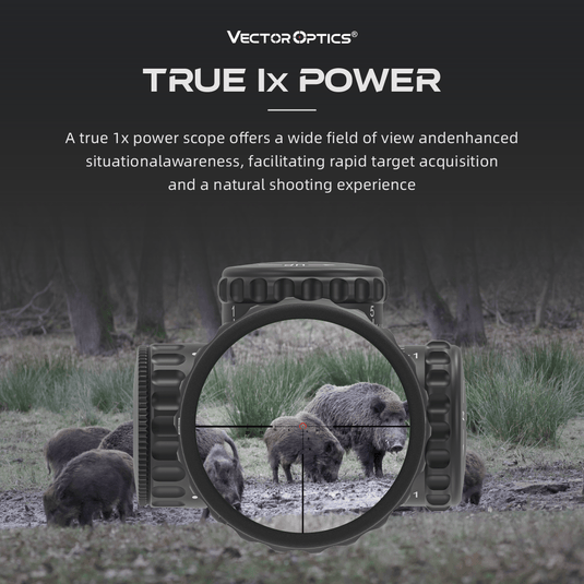 Continental 1-6x24 HD SFP TRUE 1x POWER