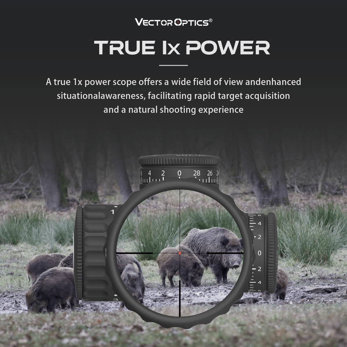 AR15 | Continental x8 1-8x24i SFP LPVO ED Fiber Hunting Rifle Scope (SCOC-51) | Small Game Hunting