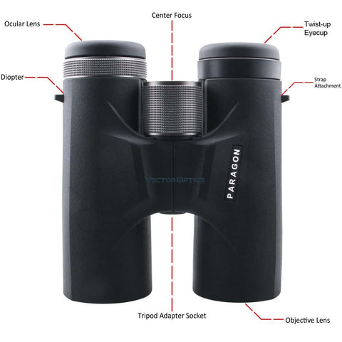 Paragon 10x42 Binocular