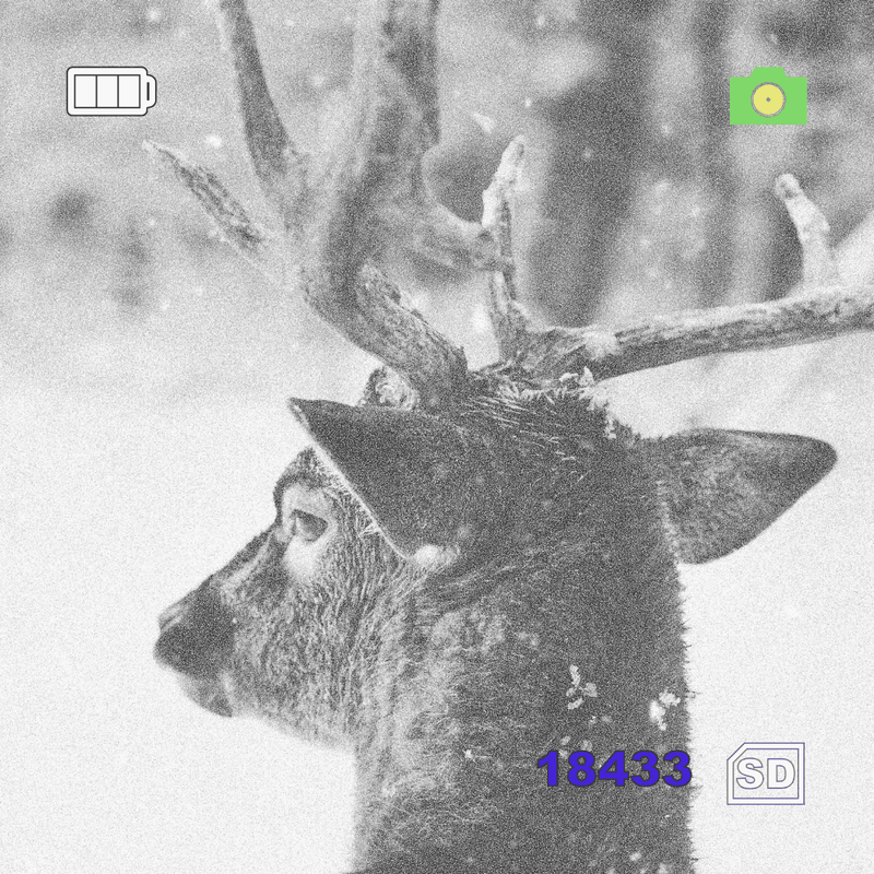 Digital Vector Optics US Online Store digital-vector-optics-us-online-store